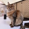 さっちゃん47