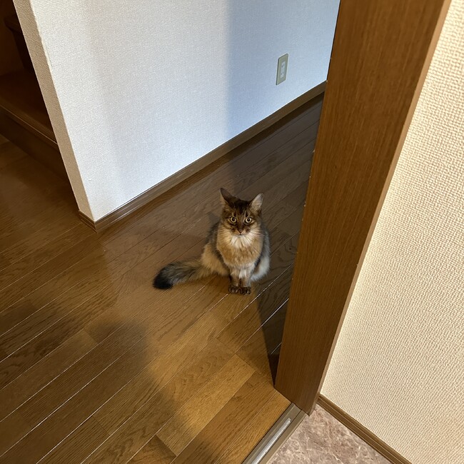 さっちゃん47のカバー写真