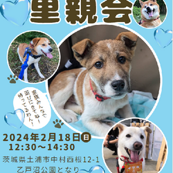 CAPIN里親会inつくばCASA