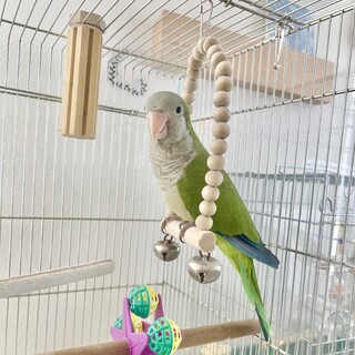 現在里親様と調整中です