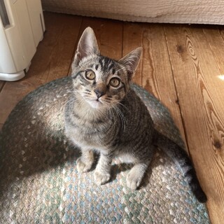 元気いっぱい！遊ぶの大好き♡ラキくん