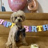 6歳バースデー