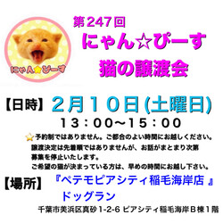 にゃん☆ぴーす猫の譲渡会【稲毛海岸/ペテモピアシティ稲毛海岸店】