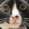 フルムルちぃもーさん