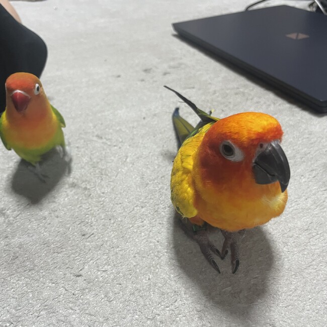 たなか。のカバー写真