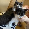 一時募集停止　白黒兄妹　甘えん坊です サムネイル6