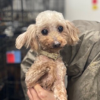 23-W361　お目目くりくり可愛い♪