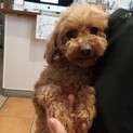 いくみちゃんです