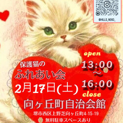 譲渡型　保護猫のふれあい会 サムネイル1