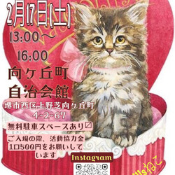 譲渡型　保護猫のふれあい会 サムネイル2