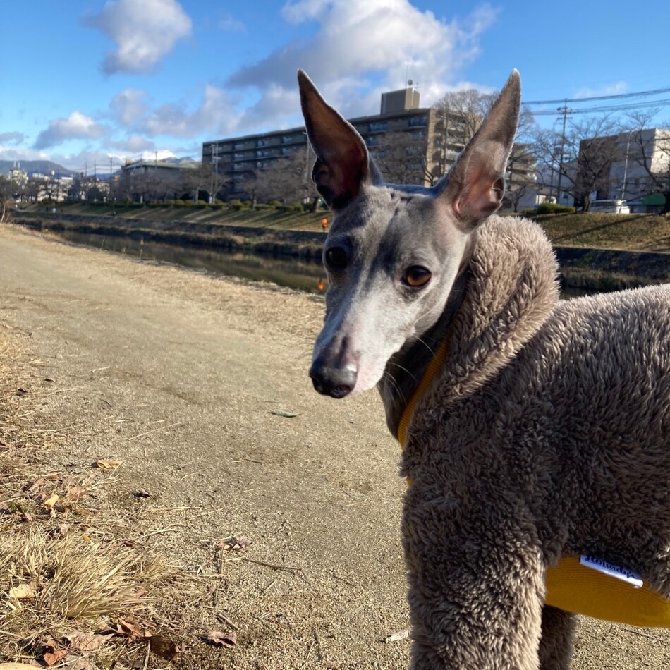 ラリーのカバー写真