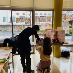 【譲渡会】＠川崎市動物愛護センター