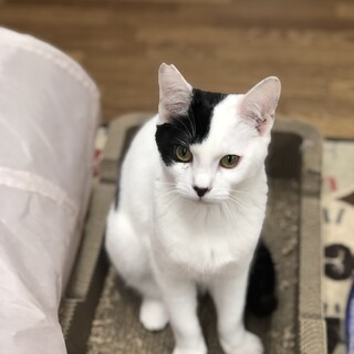 赤ちゃん顔のボクちゃん