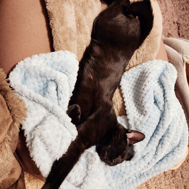 暖かいとのびのび