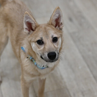 チアキちゃん❤️