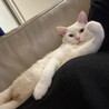 添い寝？