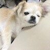 ソファーで一緒に…〜ウィンクを決めて〜