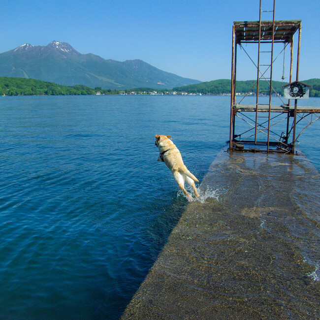 どらおじのカバー写真