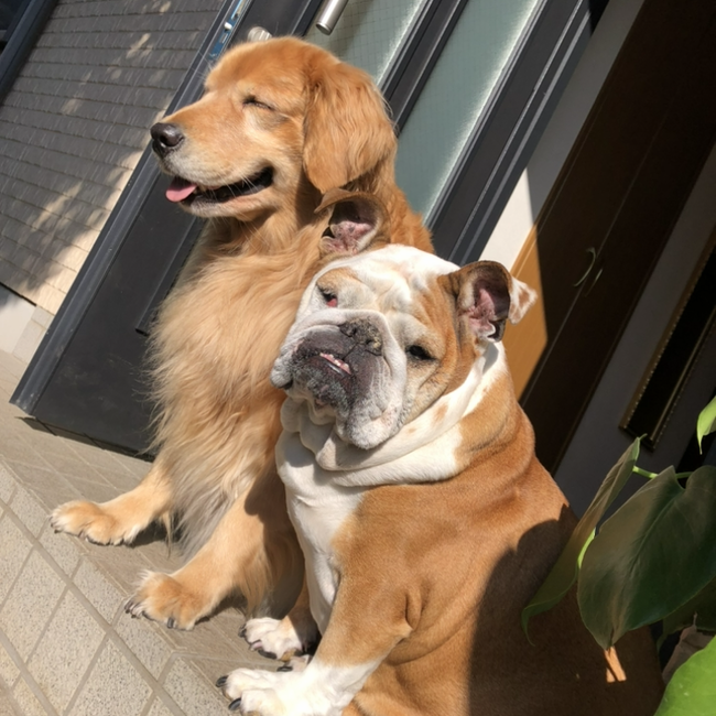 カイココままのカバー写真