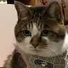 弟のレオパを見つめる ねーたん