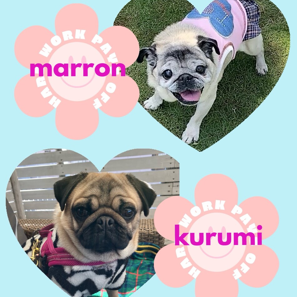 くるみのカバー写真