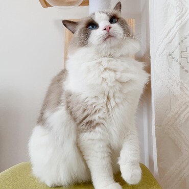 の写真