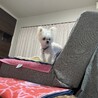 の写真