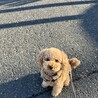 の写真