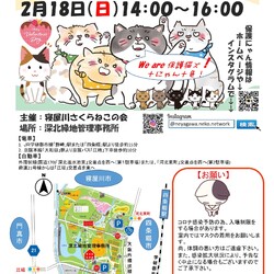 子猫多数！保護猫譲渡会@深北緑地