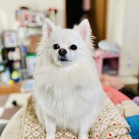 華