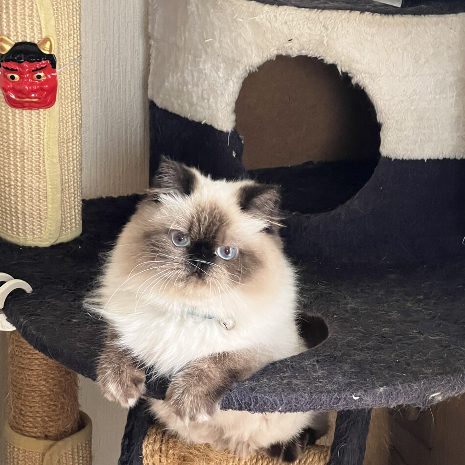 jimmyのカバー写真