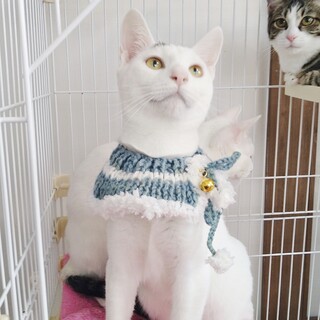 ◆3/20◆人懐っこいヤンチャ坊主❤ひぃ