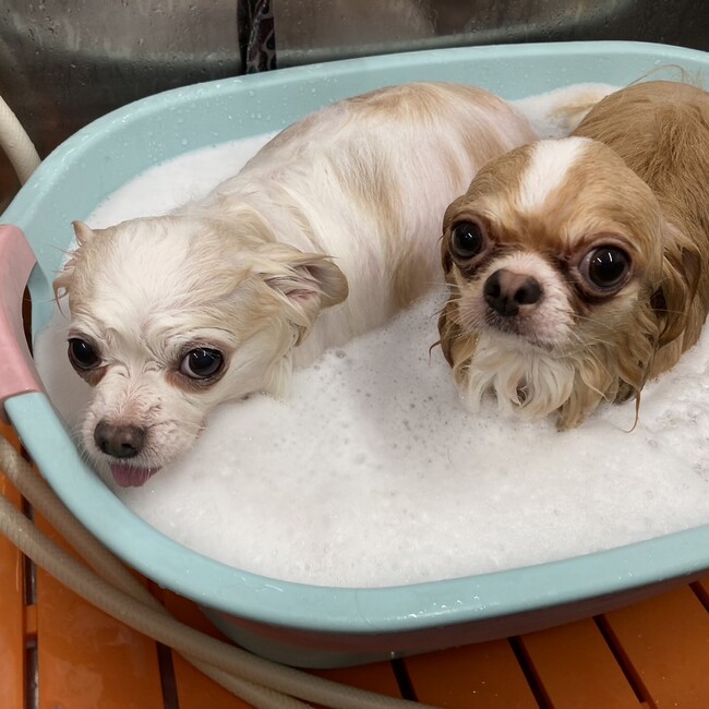 mutsu623のカバー写真