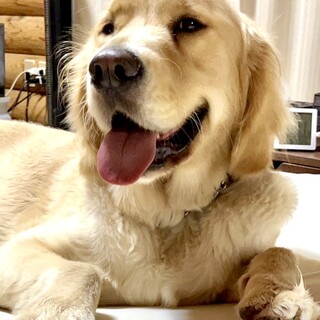 23-M178 とても良い子です！！