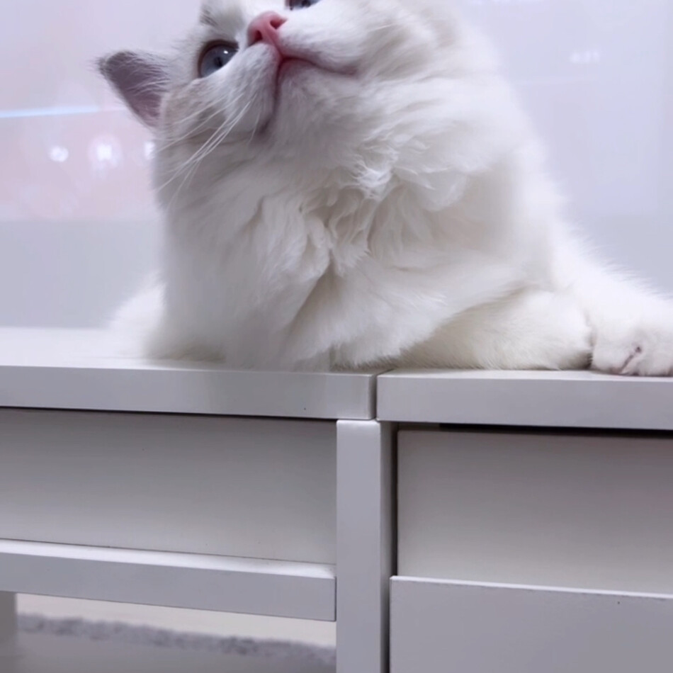 Solのカバー写真