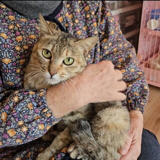 人馴れ抜群！抱っこも大好きスリスリの女の子です