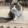 ゆう020704