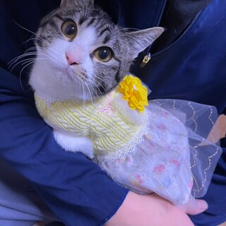 お誕生日は七夕かも⁉ 遊ぶの大好き♪ あこちゃん