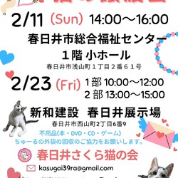 保護猫の譲渡会in春日井