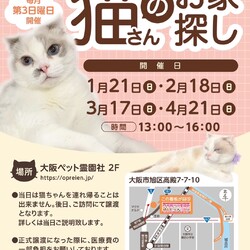 第66回 ViVAキャッツ譲渡会