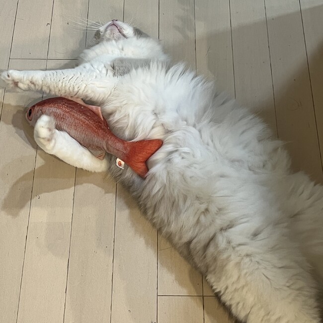 むぎはらのカバー写真