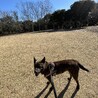 の写真
