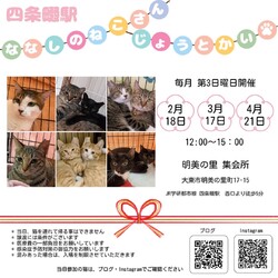 ななしのねこさん譲渡会