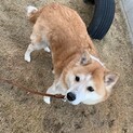 大人しい　ベルくん