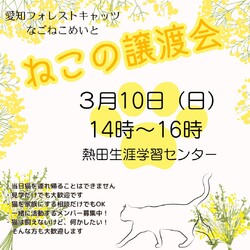猫の譲渡会　名古屋市
