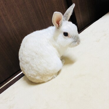 の写真