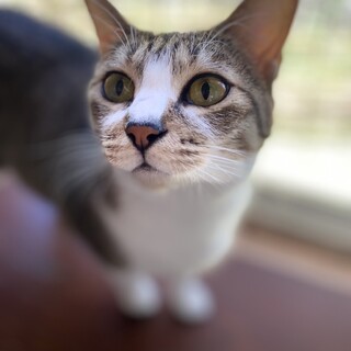 6/9幕張ෆ⃛とっても優しいෆ⃛まりちゃん