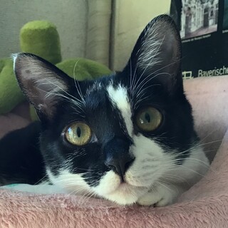 オモチャもお膝も大好き明るい甘えん坊♡9ヶ月齢