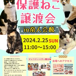 第３４回保護ねこ譲渡会in帝人会館