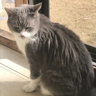 おっとりした性格です